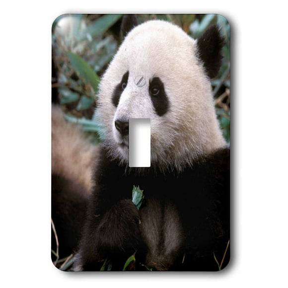 3dRose lsp_51358_2 Panda Bear Toggle Switch 3dRose lsp_51358_2 Panda Bear Toggle Switch